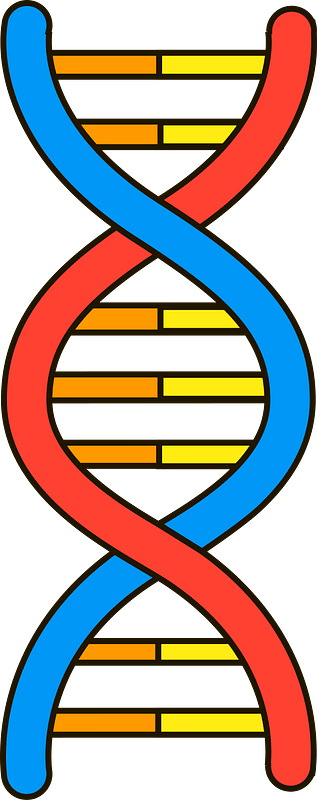 gen